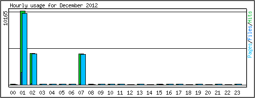 Hourly usage