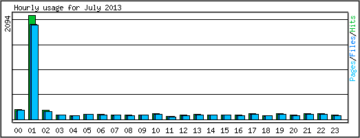 Hourly usage
