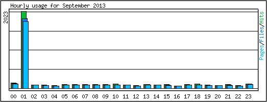 Hourly usage