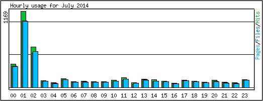 Hourly usage