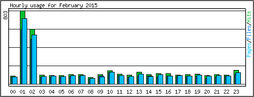 Hourly usage