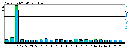 Hourly usage