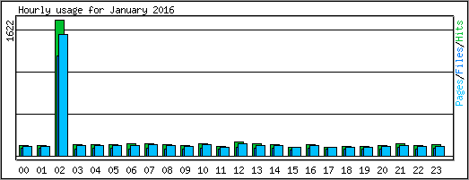 Hourly usage