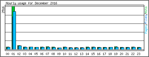 Hourly usage