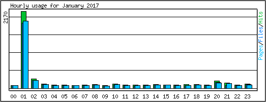 Hourly usage