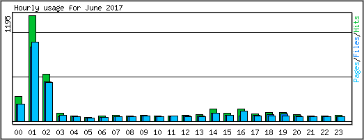 Hourly usage