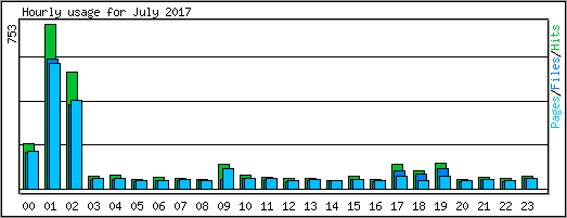 Hourly usage